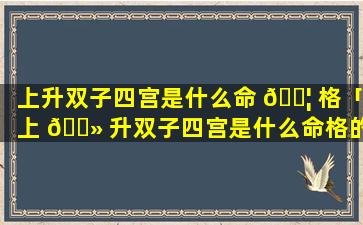 上升双子四宫是什么命 🐦 格「上 🌻 升双子四宫是什么命格的」